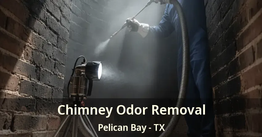 Chimney Odor Removal Pelican Bay - TX