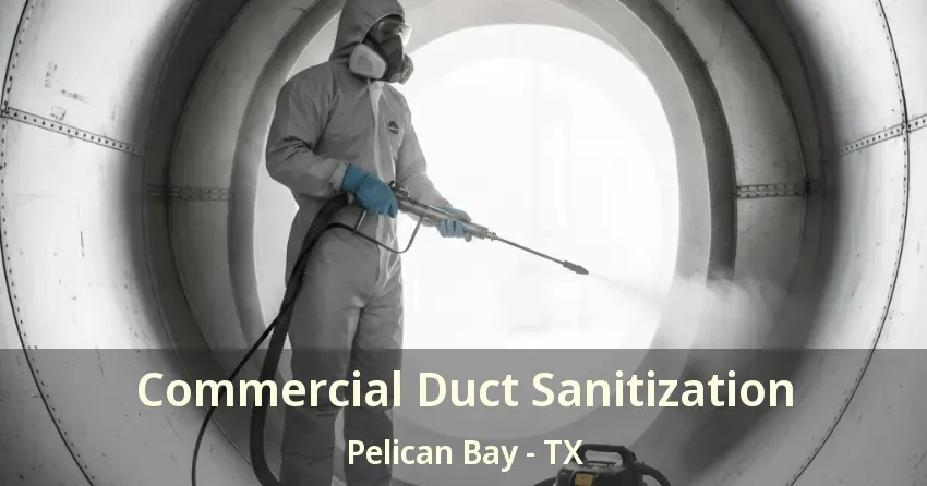 Commercial Duct Sanitization Pelican Bay - TX