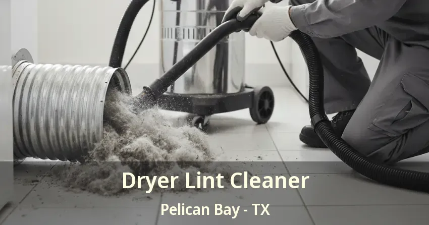 Dryer Lint Cleaner Pelican Bay - TX