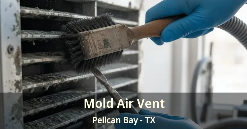 Mold Air Vent Pelican Bay - TX Mold Air Vent Pelican Bay - TX