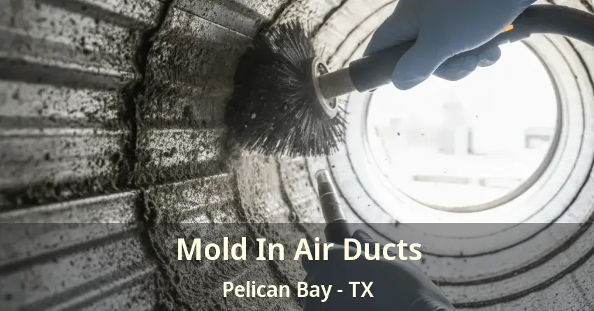 Mold In Air Ducts Pelican Bay - TX