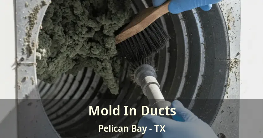 Mold In Ducts Pelican Bay - TX Mold In Ducts Pelican Bay - TX