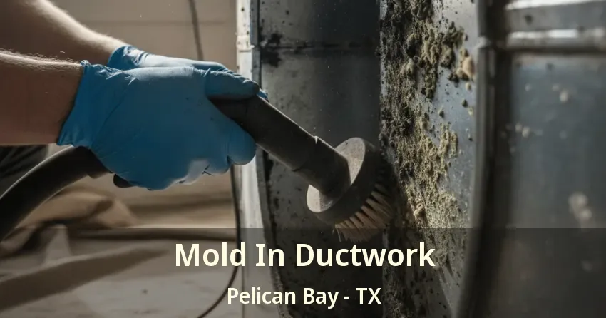 Mold In Ductwork Pelican Bay - TX