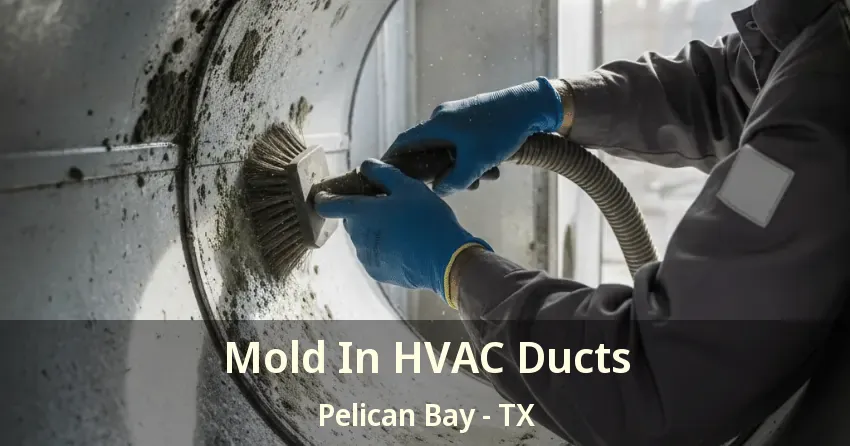 Mold In HVAC Ducts Pelican Bay - TX