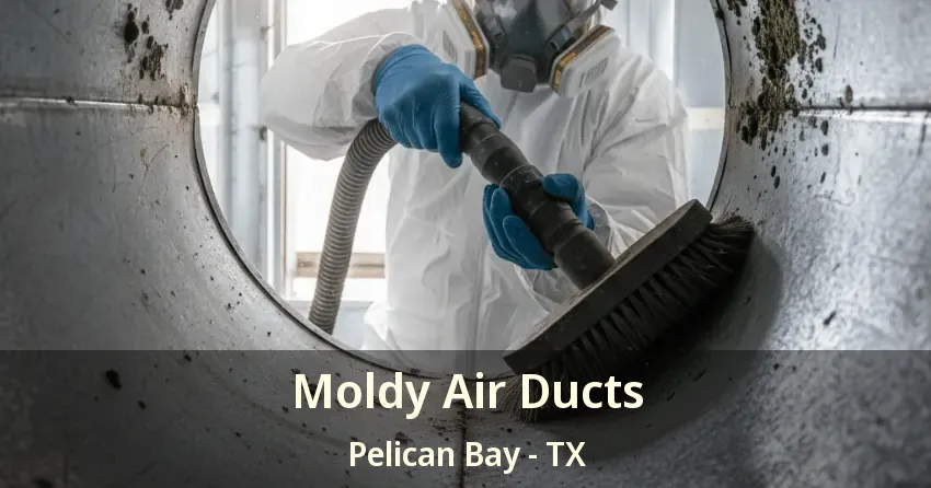 Moldy Air Ducts Pelican Bay - TX Moldy Air Ducts Pelican Bay - TX